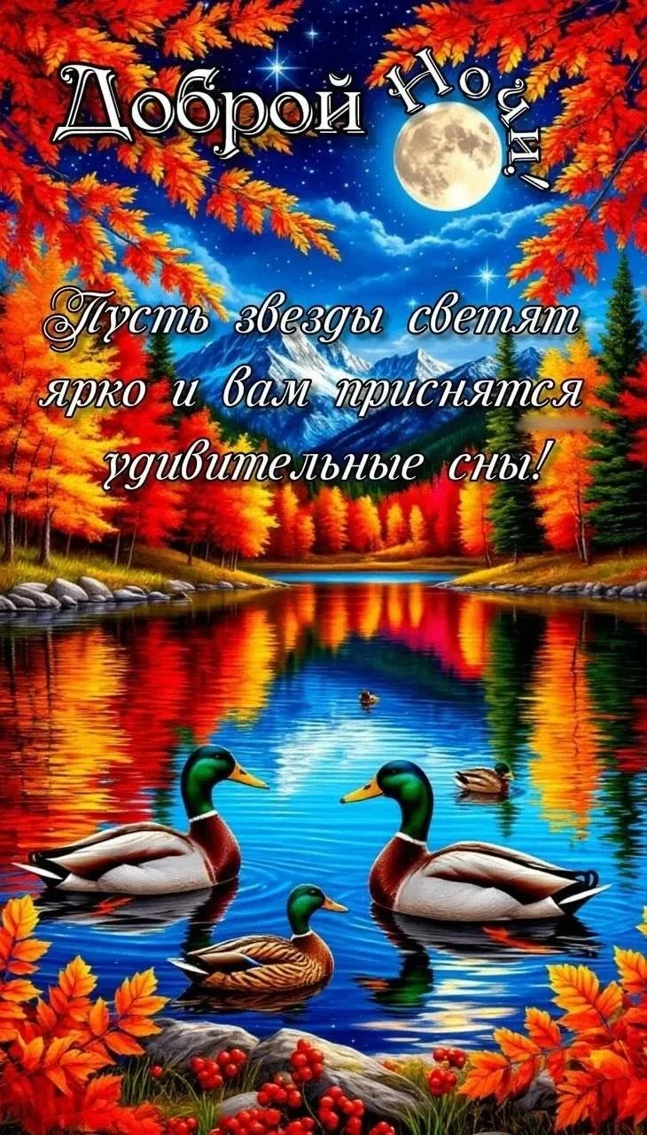 🌙 Каждый вечер добрые слова и тёплые пожелания — чтобы ночь прошла уютно и с улыбкой ✨