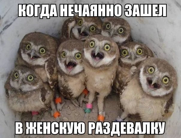Ветер с Моря Дул