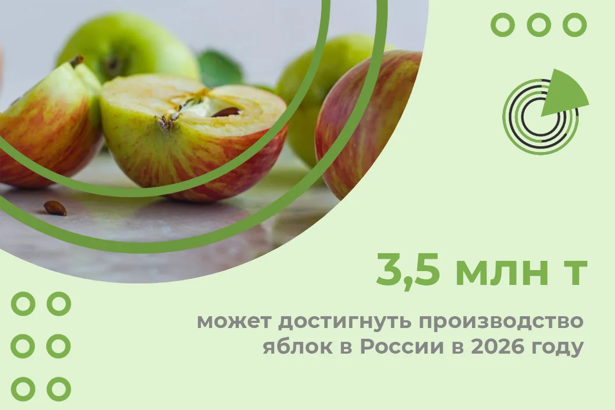 ПРОИЗВОДСТВО ЯБЛОК В РОССИИ В 2026 ГОДУ МОЖЕТ ДОСТИГНУТЬ 3,5 МЛН Т — РСХБ