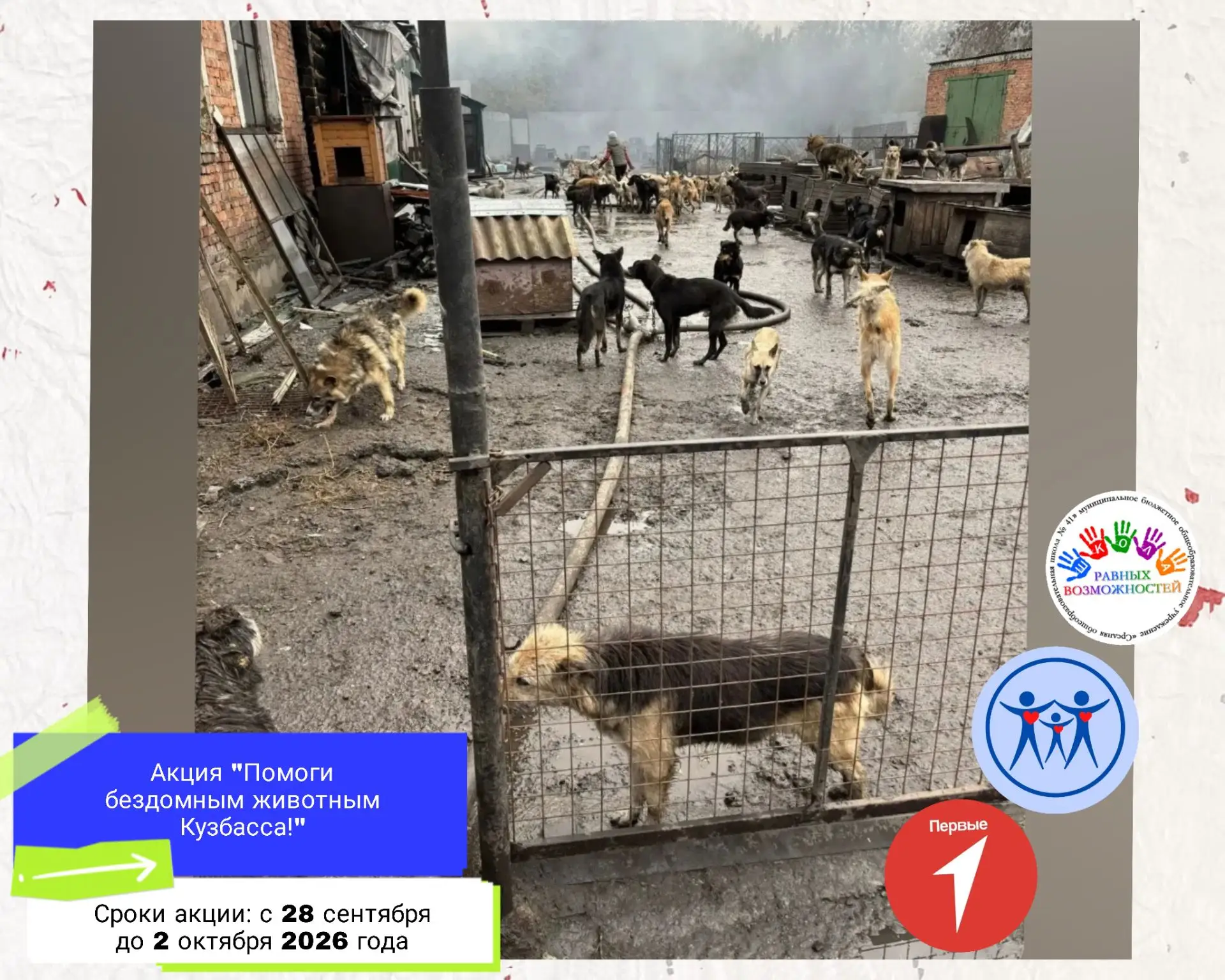 ⚡ Большая беда произошла на этих выходных в городе Прокопьевске!