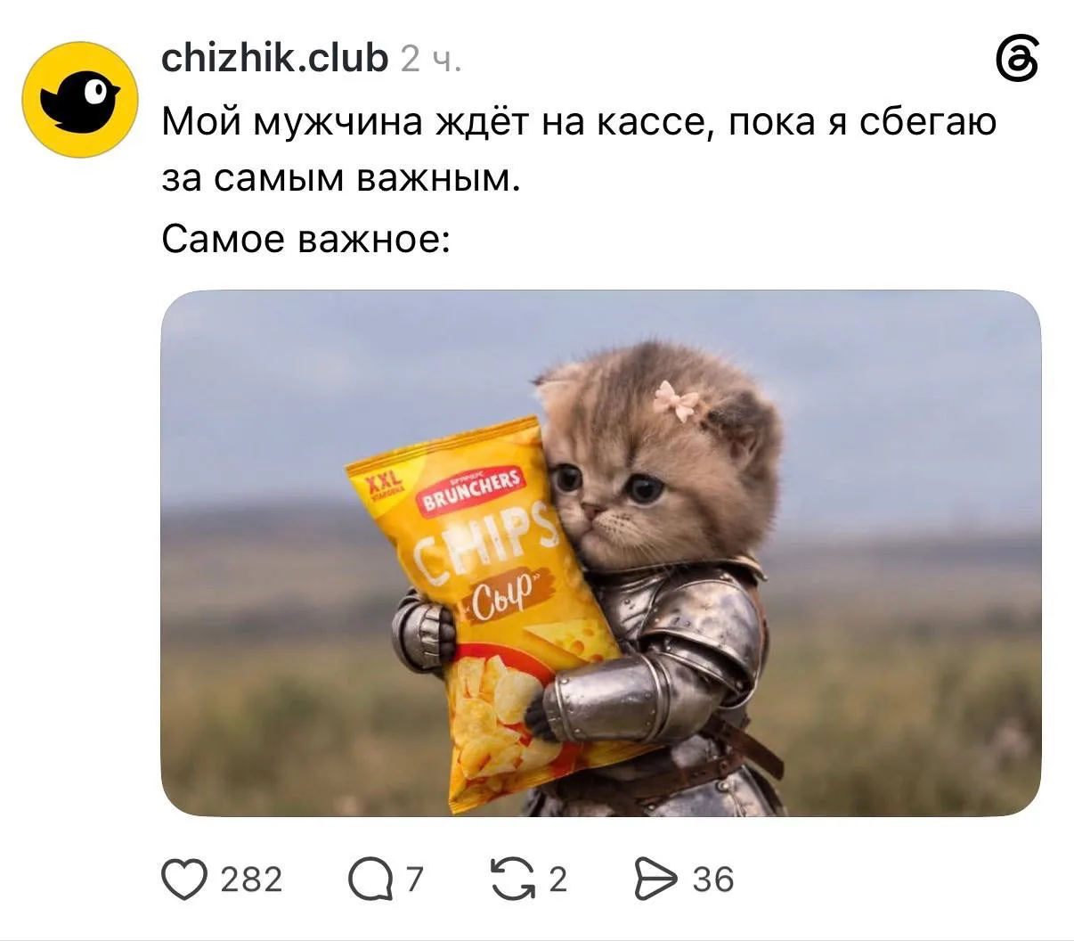 Котик с мечом — главный МЕМ сейчас. Бренды и пользователи массово придумывают приколы с...