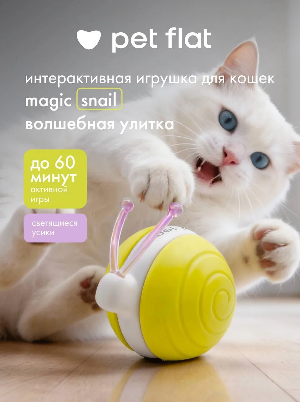 Всего за 699₽ на нашем сайте 🧡