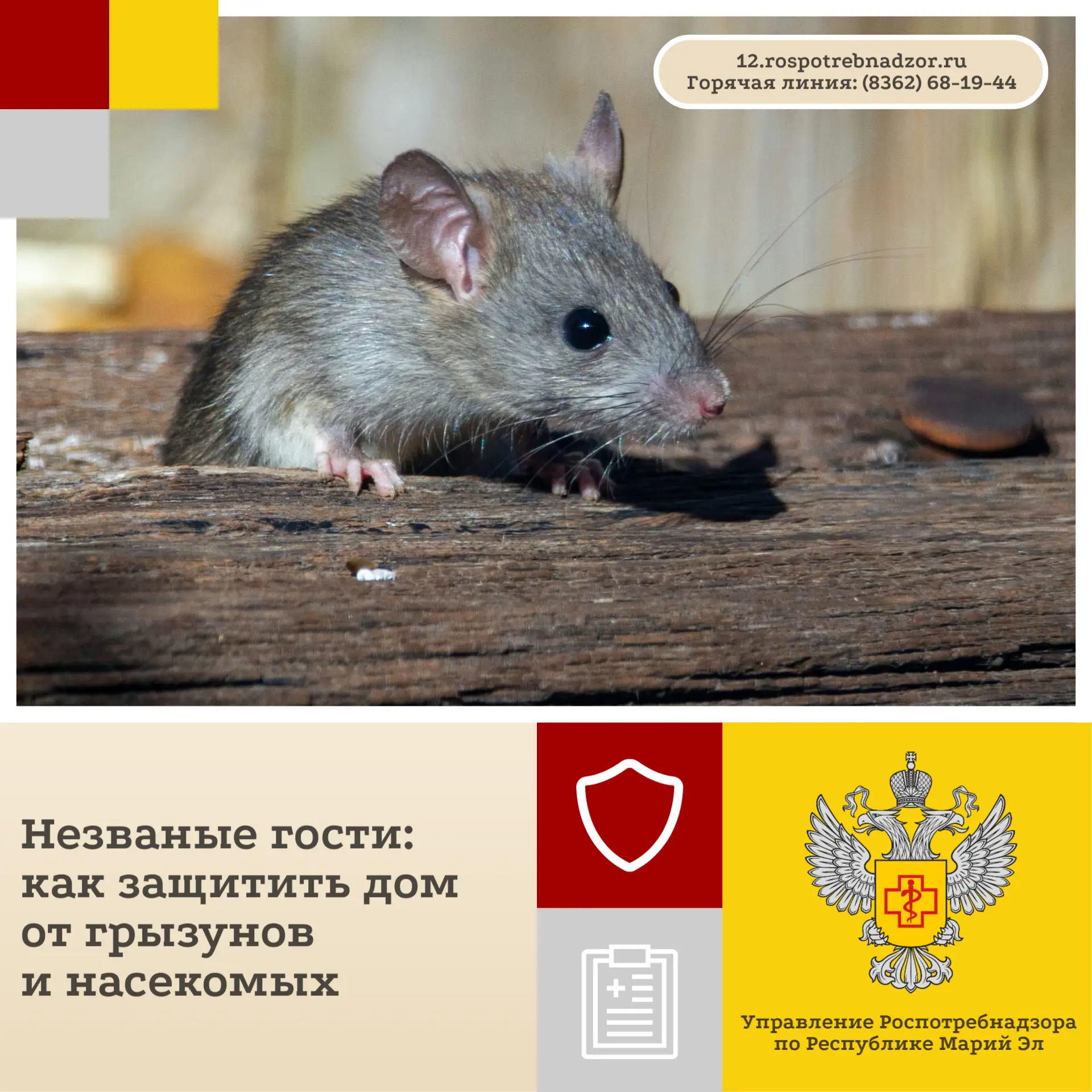 Чтобы защитить дом от грызунов и насекомых, важно применять комплексный подход 🐀🐜❌