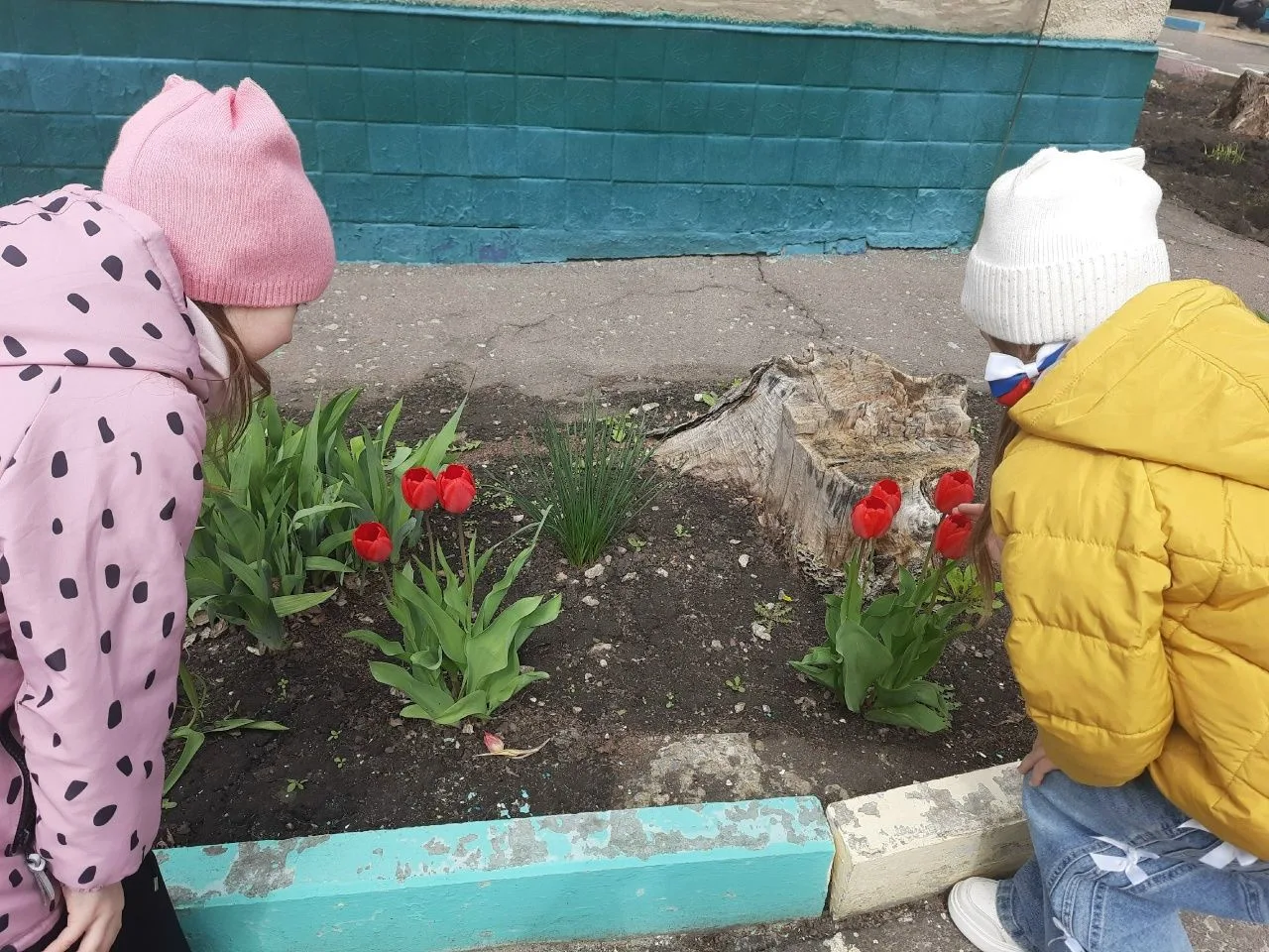 ☀️Весна пробуждает природу. На клумбах расцветают нарциссы, тюльпаны и пролески, наполн...