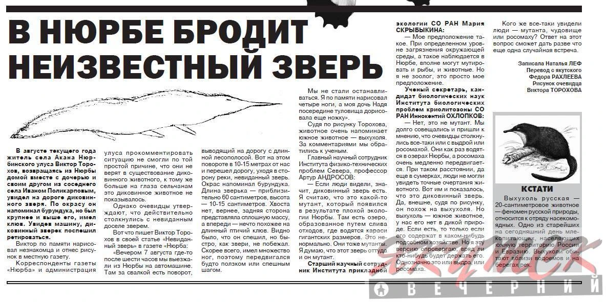 #архивЯВ