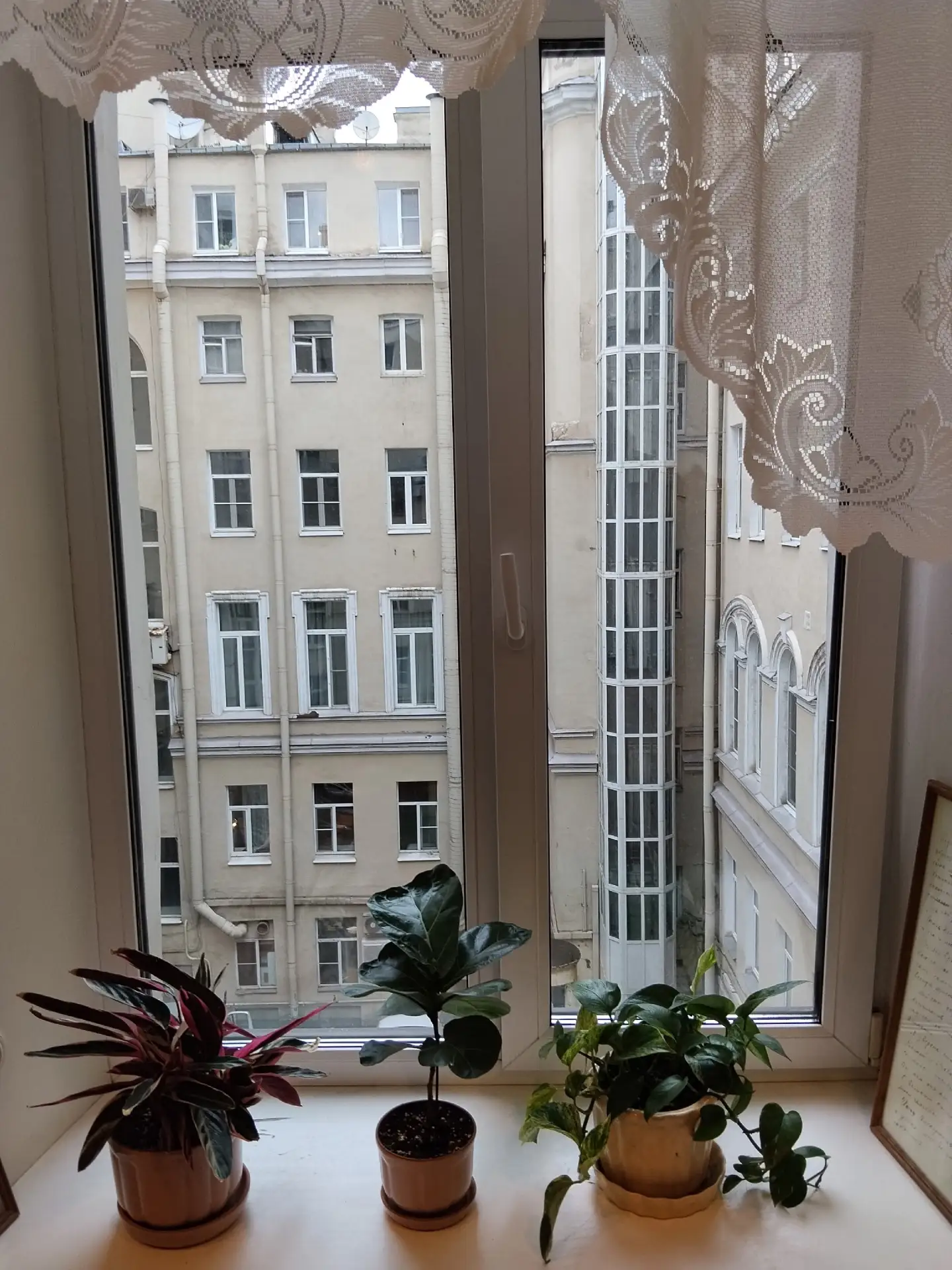 Петербургское окно