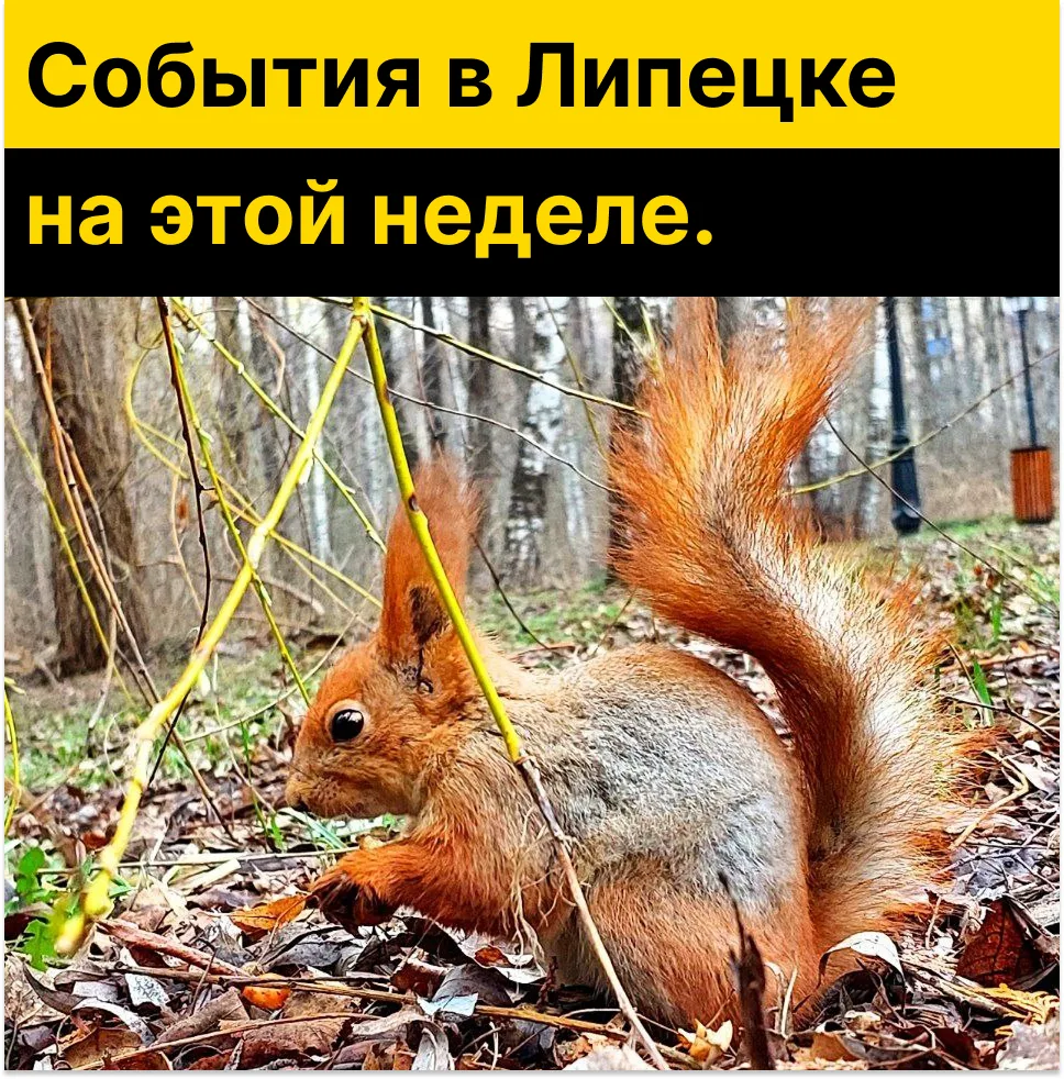 🔥 Афиша ближайших культурных событий в Липецке!    🖼 Липецкий историко-культурный музей   📍 ул. Косм
