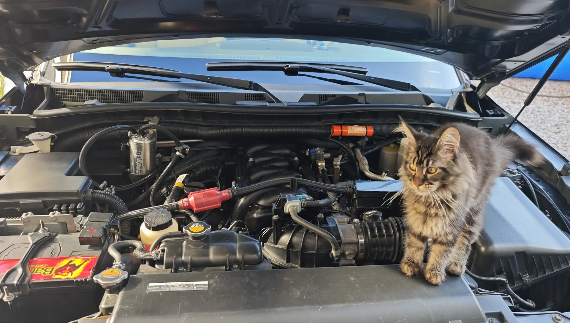 🐈 Пушистый DRIVE2: контролёры ОТК  Если купленные автозапчасти оказались с дефектом, по Закону о защ