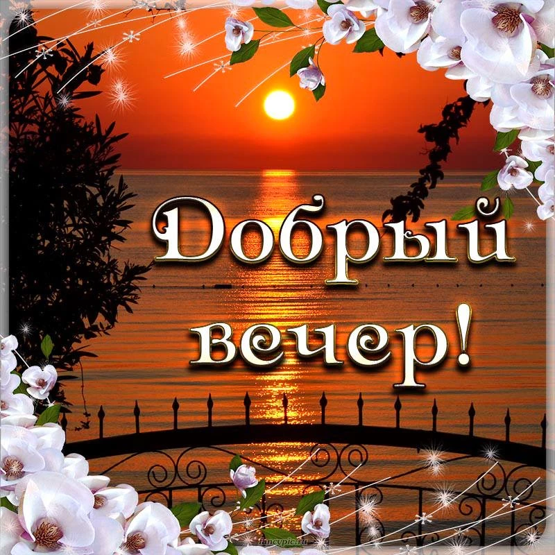 #ДобрыйВечер