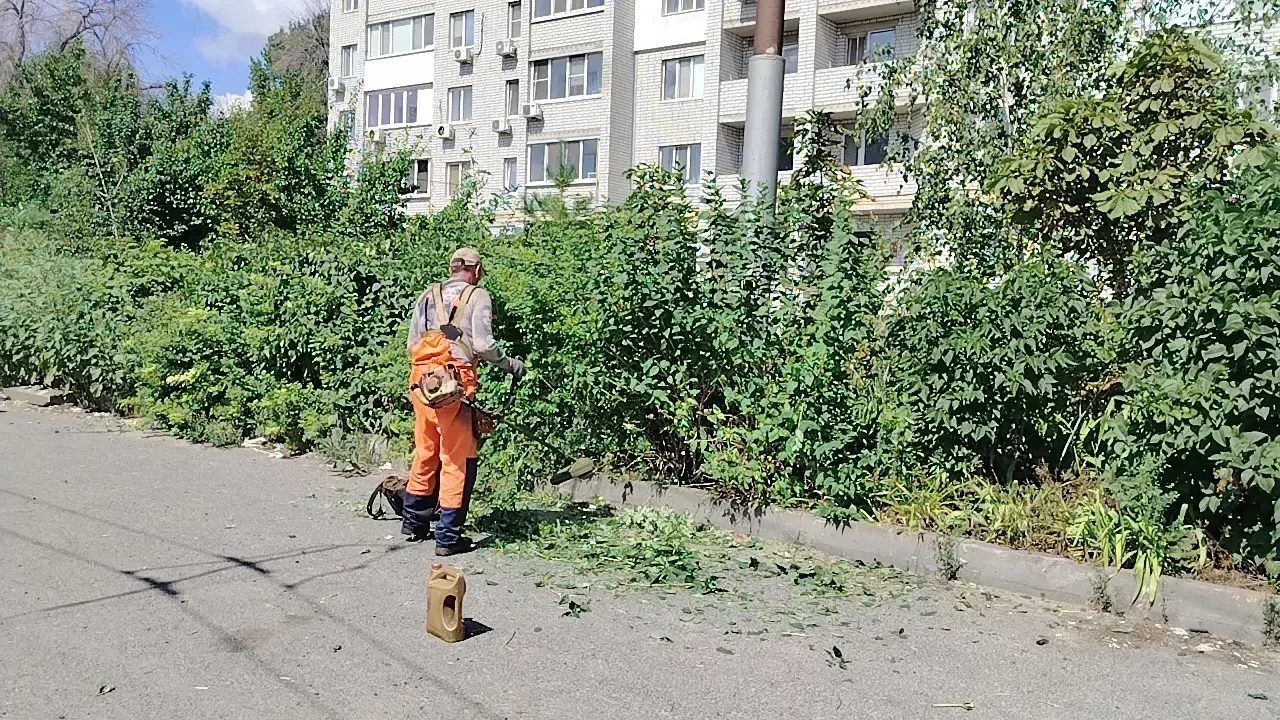 🌿 Поддержание порядка на общественных территориях района продолжается ежедневно