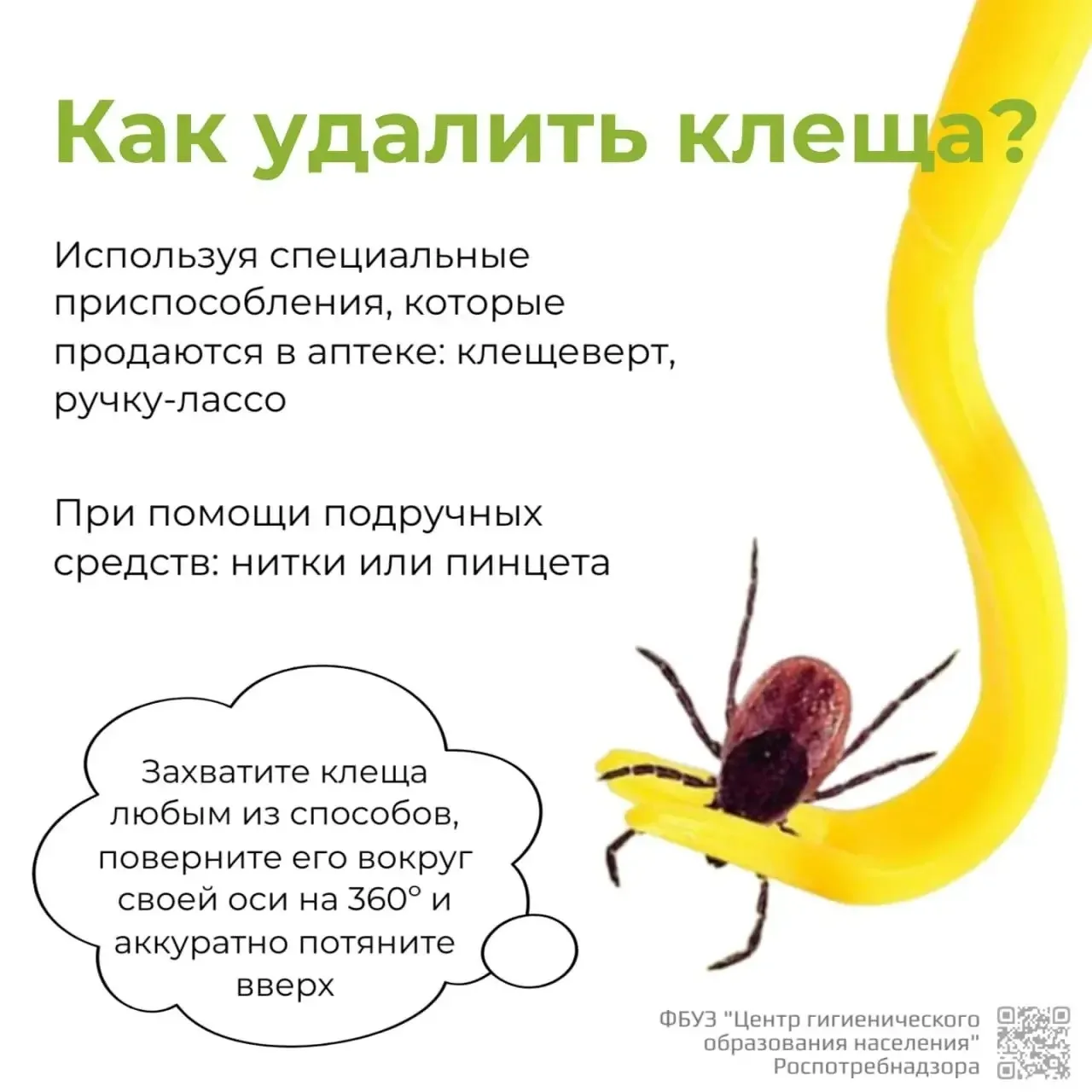 🤔Что делать, если присосался клещ?  Весна и лето - не только тепло, но и риск встречи с клещами. Эти