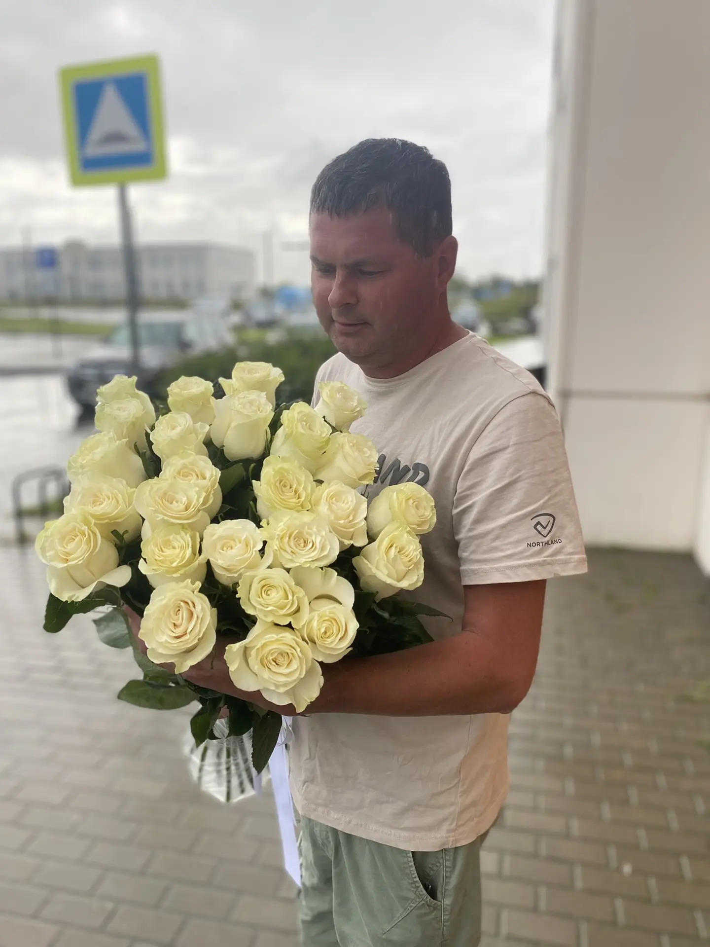 Роза Мондиаль от 50 см до 80 см