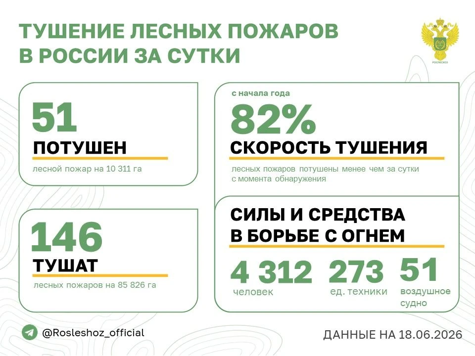 🟢 За прошедшие сутки в 13 регионах России потушили 51 лесной пожар. 
Продолжается тушение 146 лесны