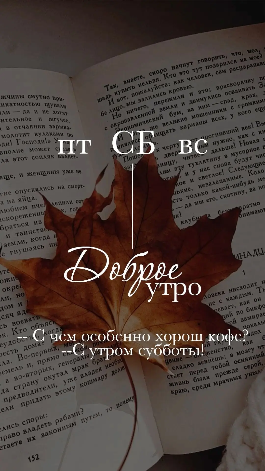 Бодрого и доброго утра вам желает канал Волгоград⚡️