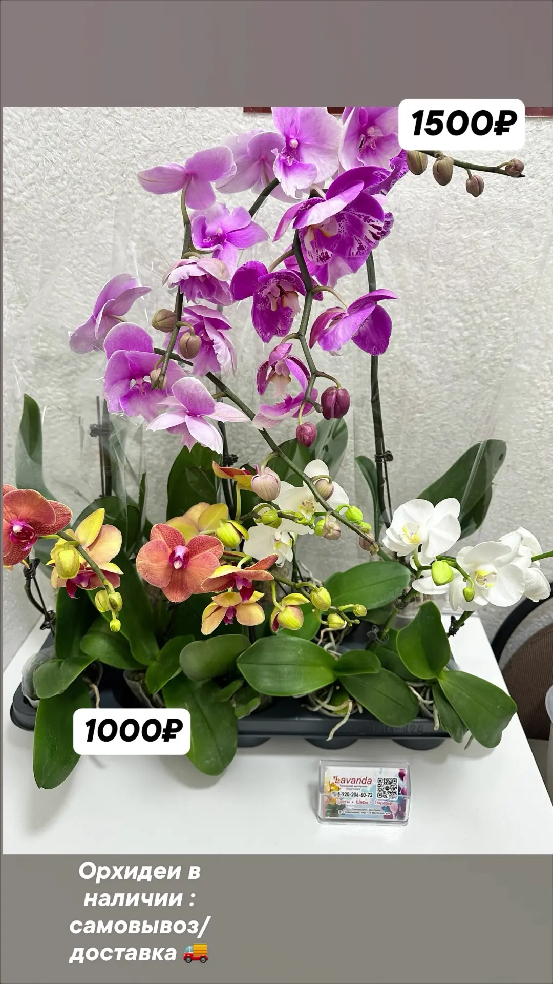 Добрый день🌸