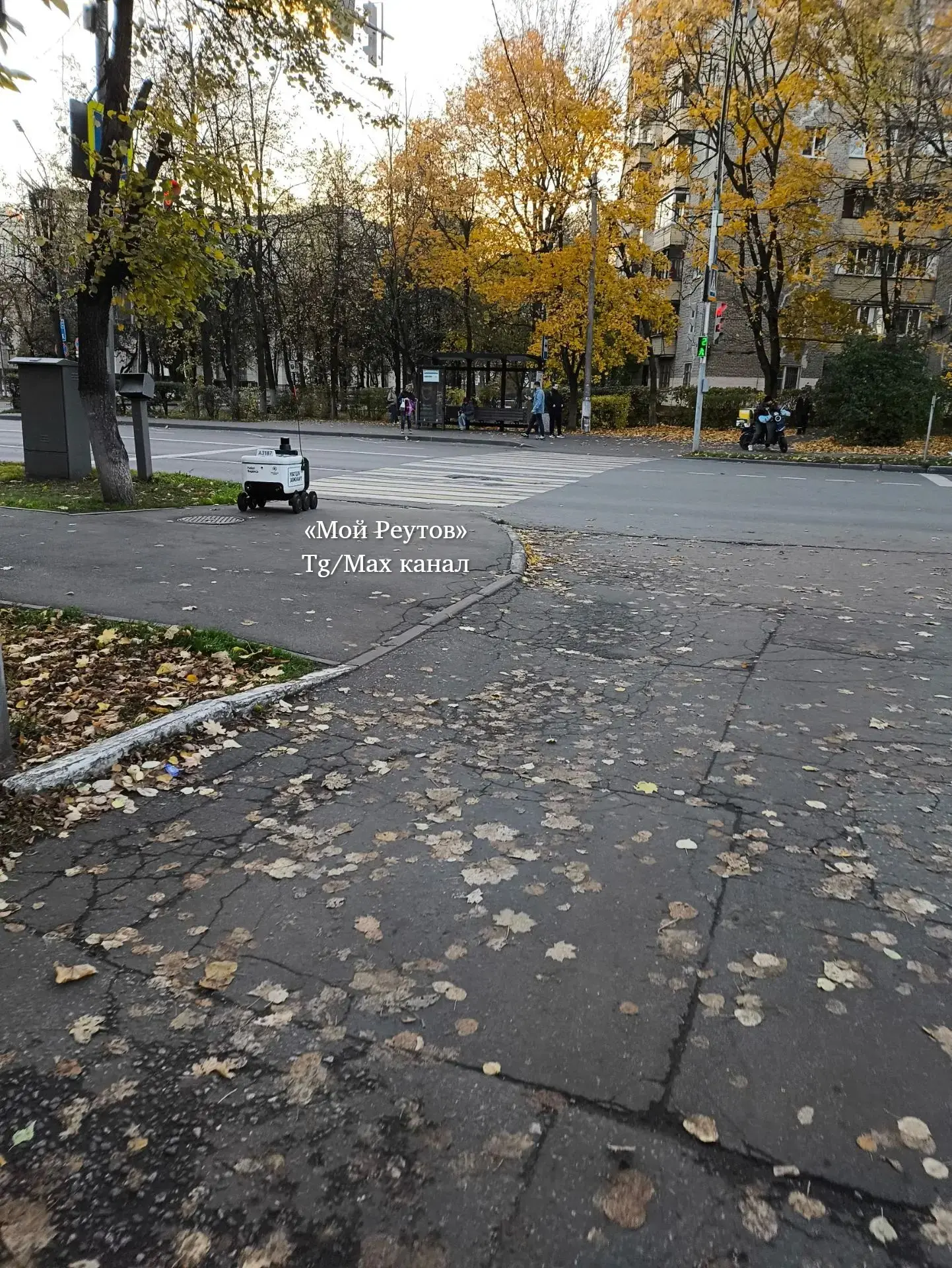 🤖 На переходе у остановки Горсовет сейчас стоит доставщик. Не едет ни на зеленый, ни н...