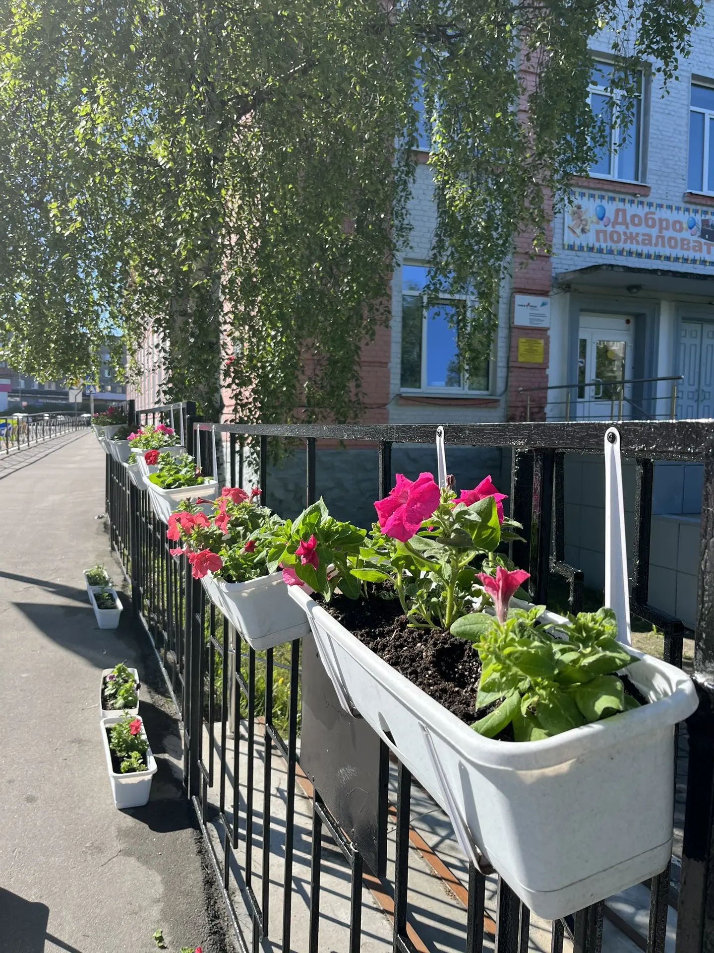 Экологическая акция «Зелёный город»: первый шаг к цветущей Кандалакше! 

Отличные новости для всех ж
