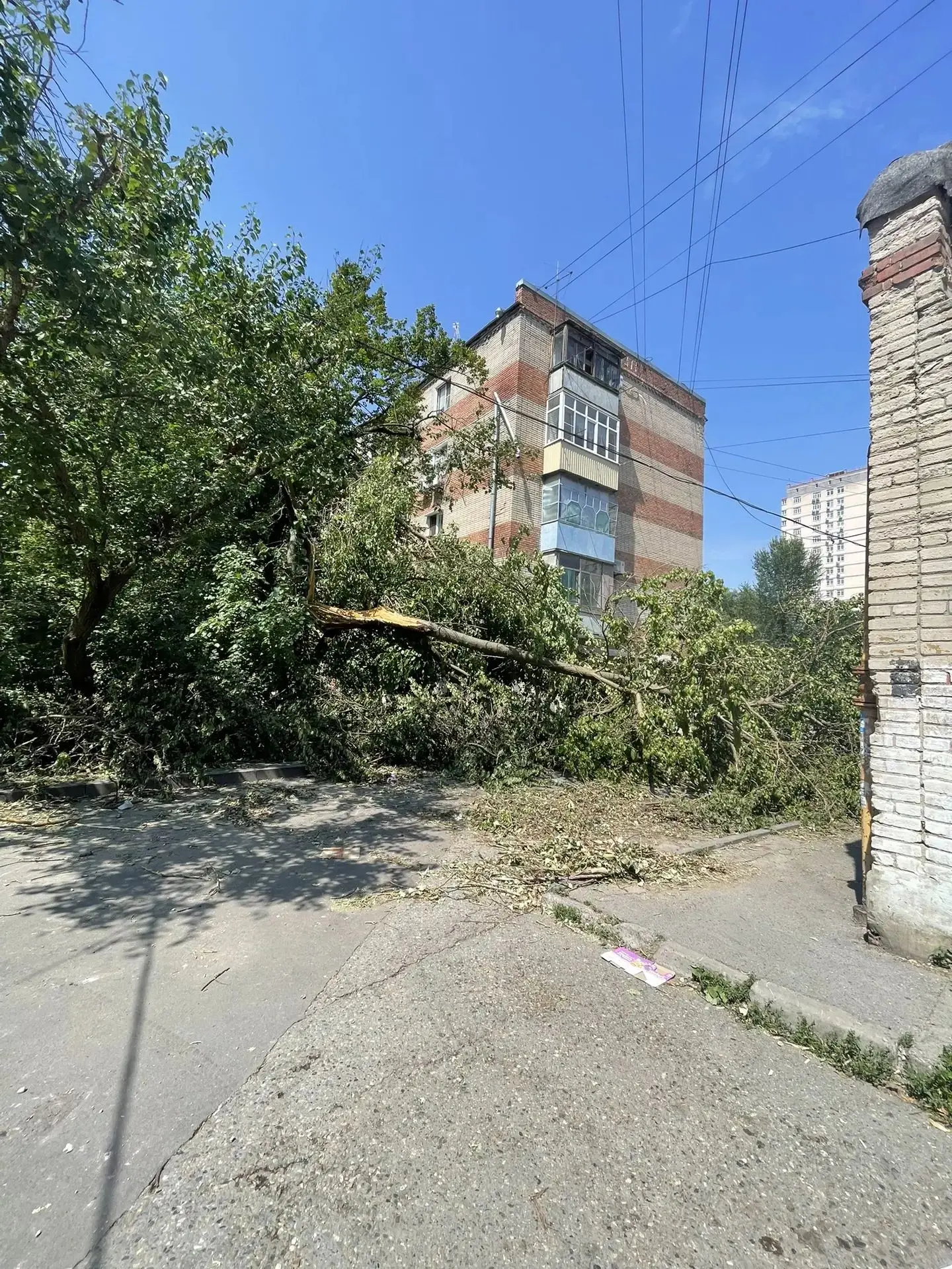 Коммунальные службы продолжают устранять последствия. На 40летии пока ещё много поваленных деревьев,