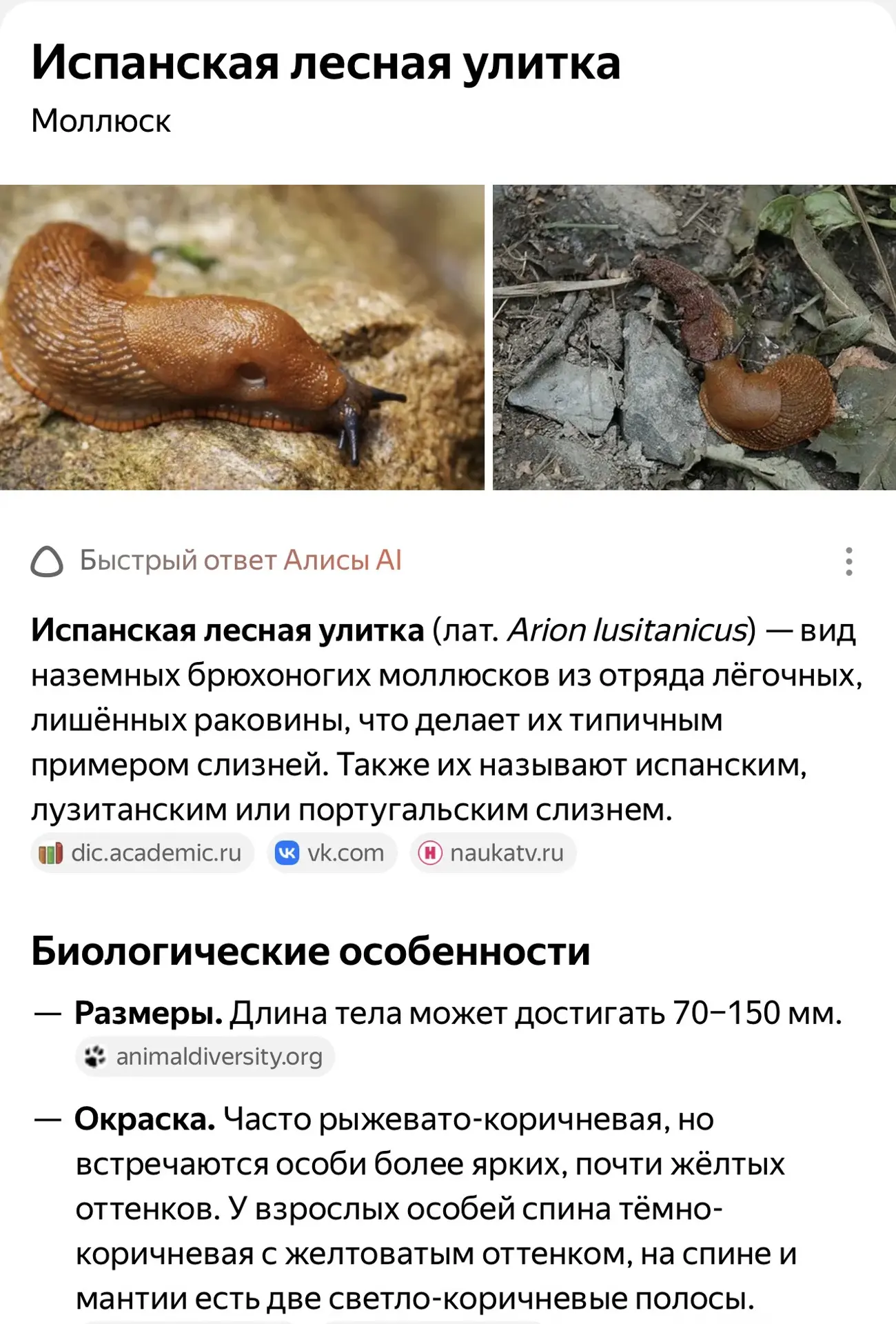 Рада , что тот , кто поедает мои помидоры 🍅 в теплице пойман!
