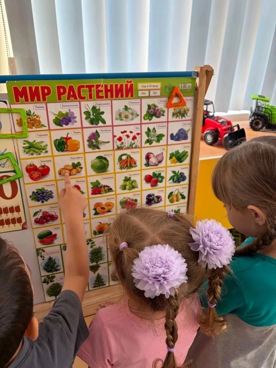 🍅 День овощей в нашем саду!