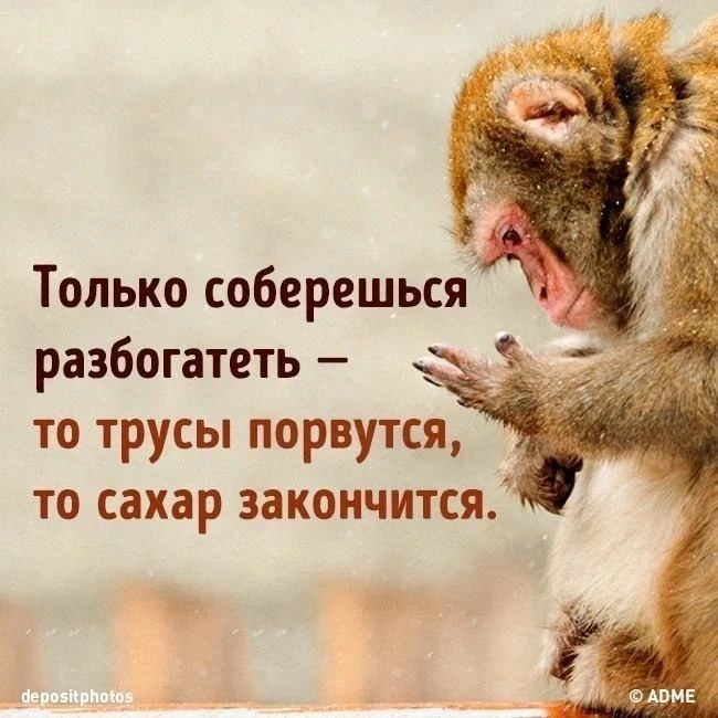 😁Умора | Юмор в картинках😁