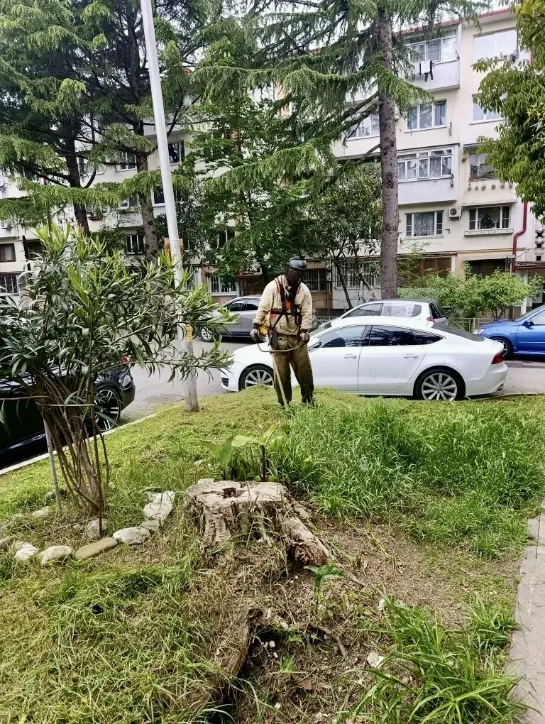 🌿 Уважаемые жители! 🌿  Сообщаем, что работы по покосу травы на придомовых территориях продолжаются 🚜