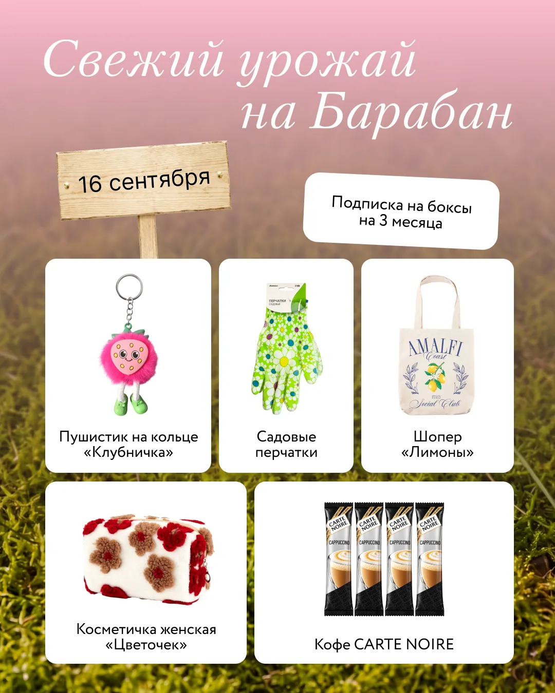 Что сегодня на грядке — 16 сентября? 🧑‍🌾