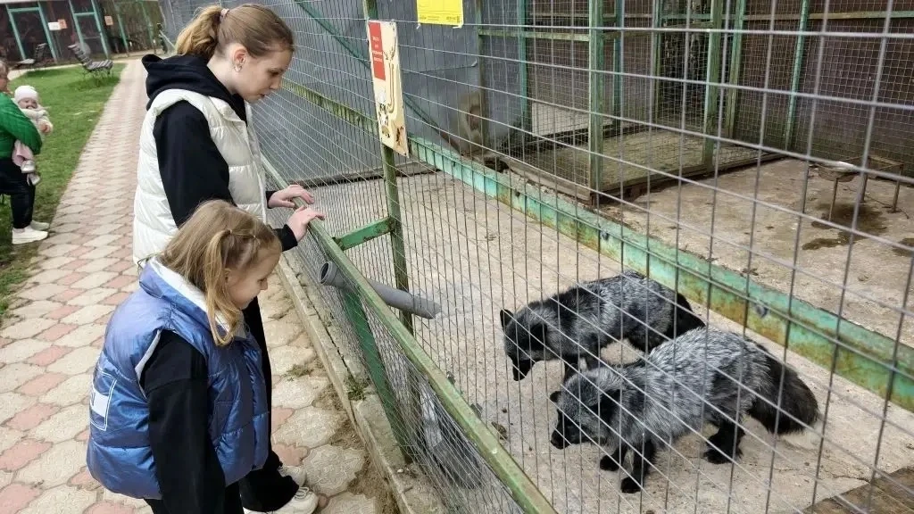Активные выходные! Эти выходные учащиеся 1а класса София П. и 5а класса Алиса П. решили вместе с род