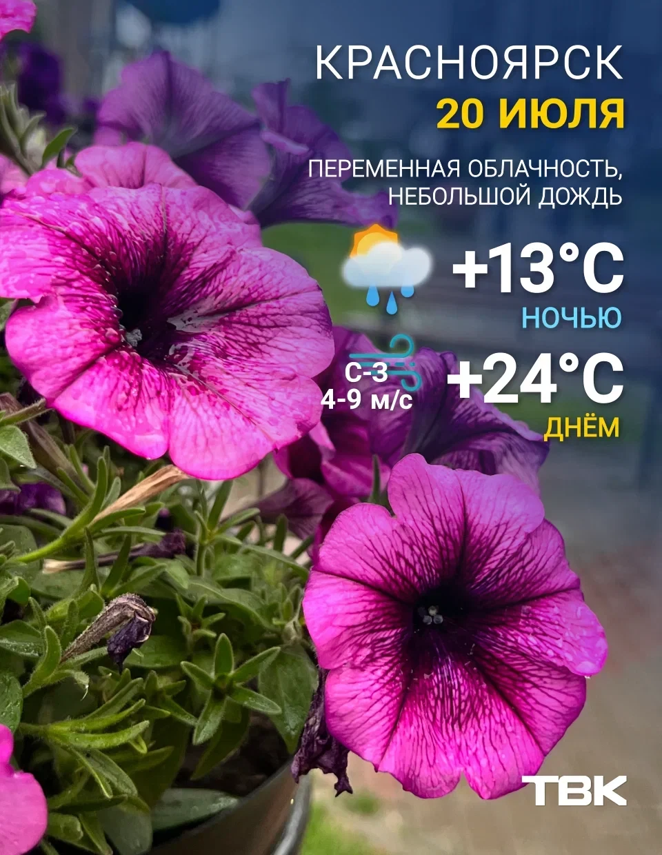Погода на 20 июля