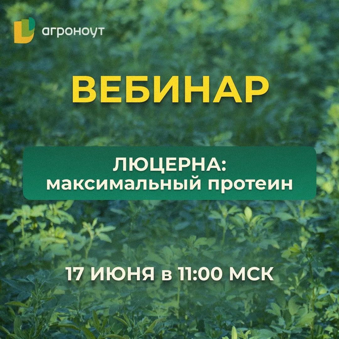 🌱 ЛЮЦЕРНА: МАКСИМАЛЬНЫЙ ПРОТЕИН

Друзья! Мы решили провести для вас вебинар на суперактуальную тему