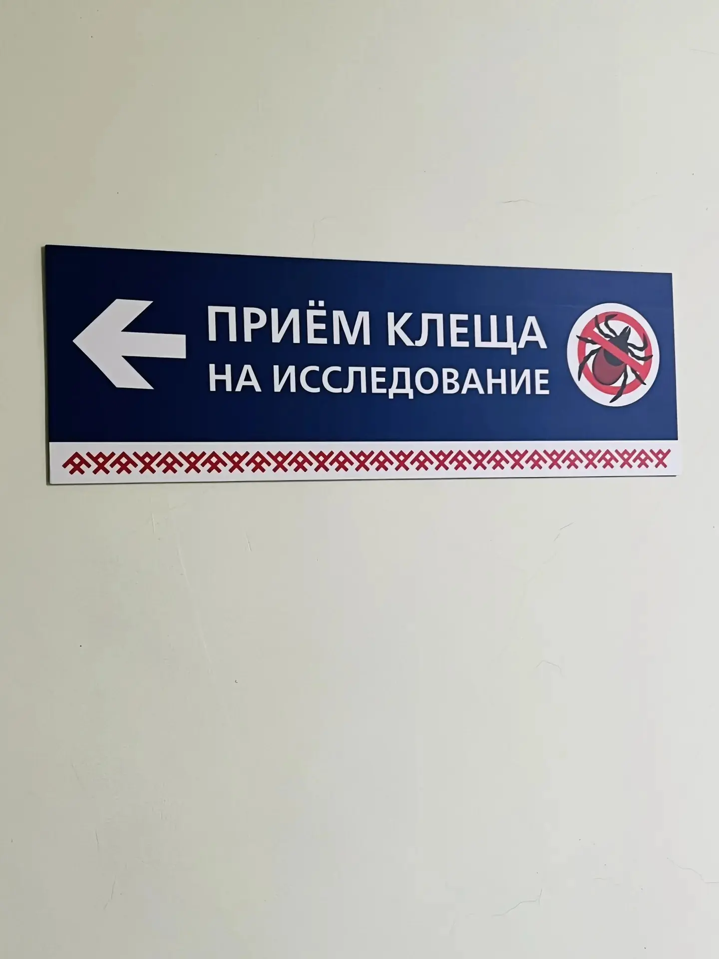 Что делать, если присосался клещ, куда обращаться?                                    

✅Взрослые мо