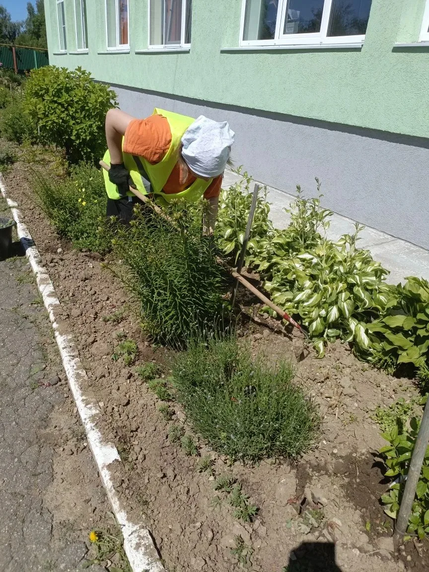 Цветы цветут, дорожки блестят — школа преображается благодаря нашим ребятам из лагеря т...