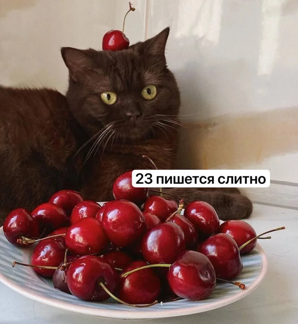 🍒 Диетологи рекомендуют взрослым употреблять не более двух-трёх порций черешни в день, каждая из ко