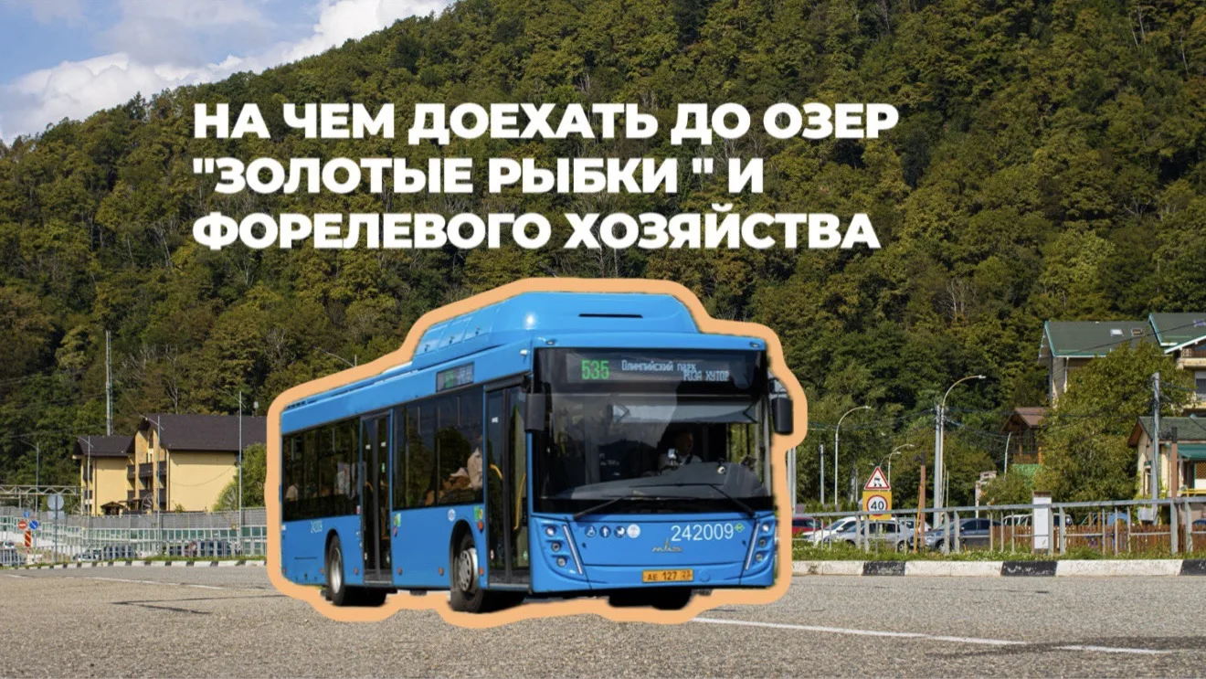 Как добраться до «Золотых рыбок»
