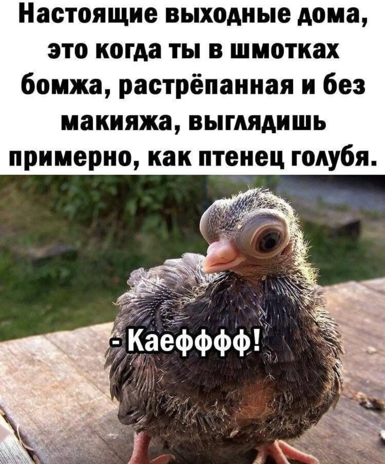 Ну почти😉
