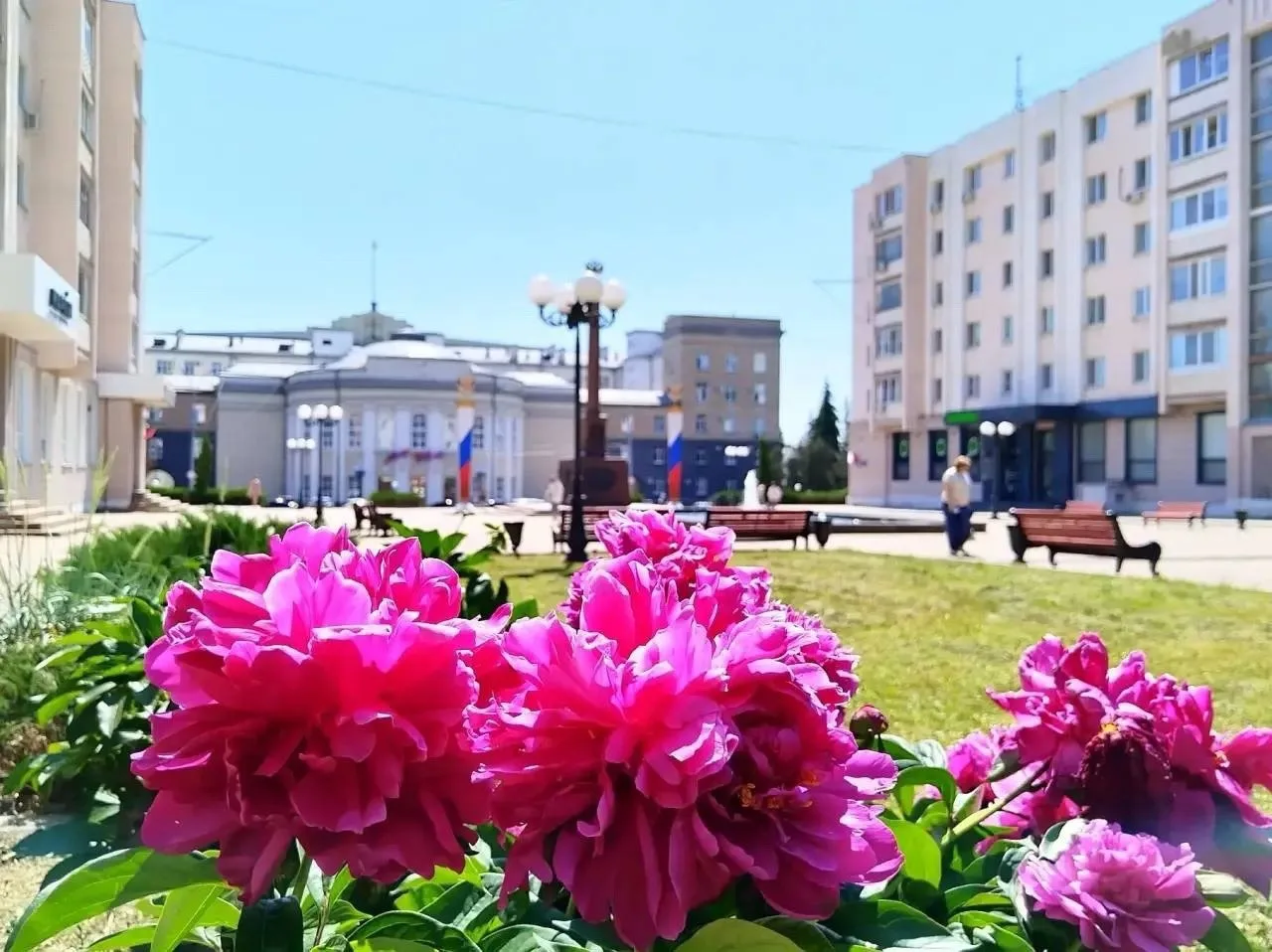 Всем хорошего дня. 🌷
