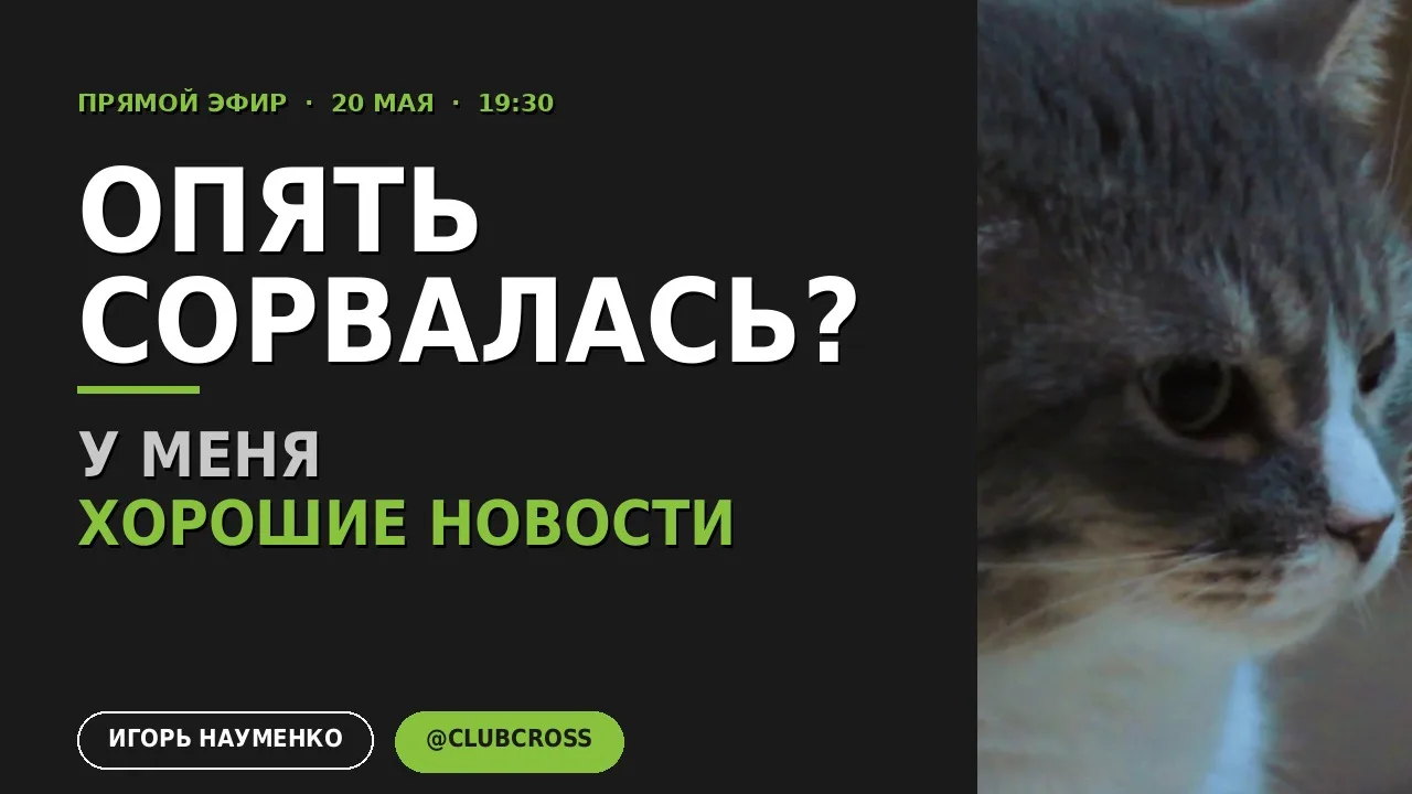 Про того, кто внутри вас орёт на кота.