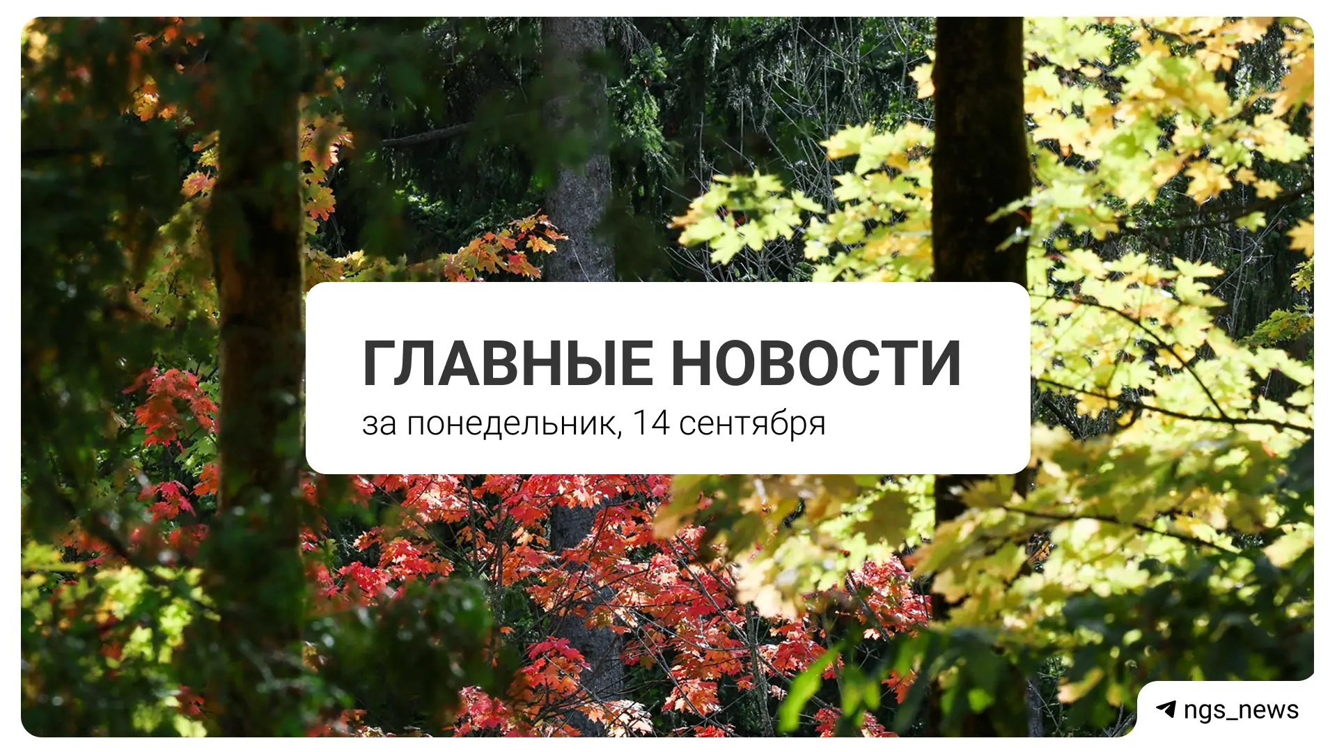 Главное за понедельник, 14 сентября