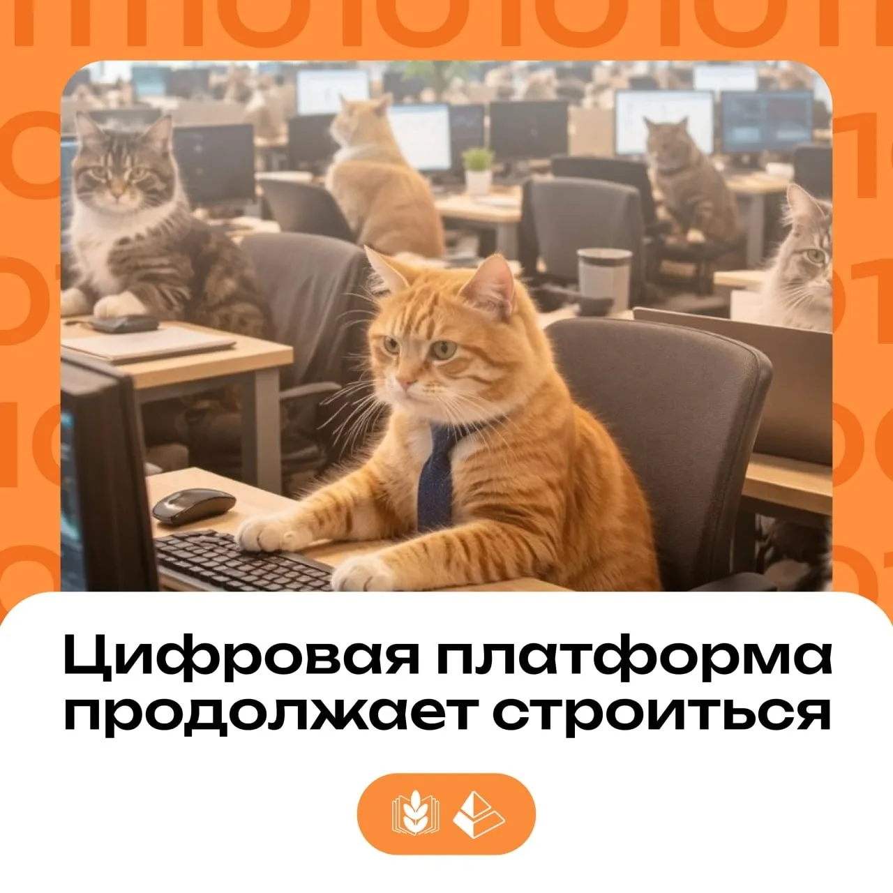 Платформа не стоит на месте🏃