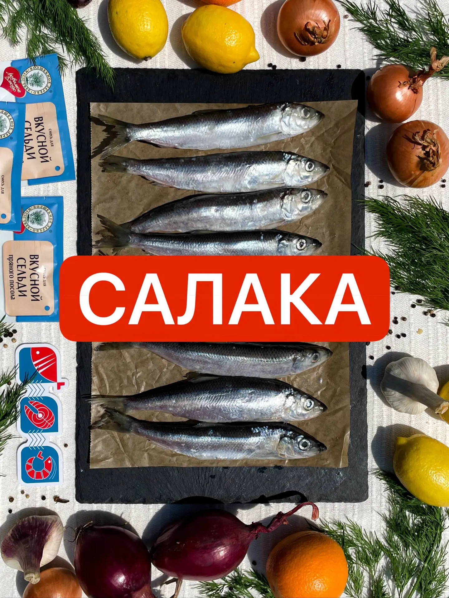 🐟 НОВЫЙ ПРИХОД САЛАКИ!