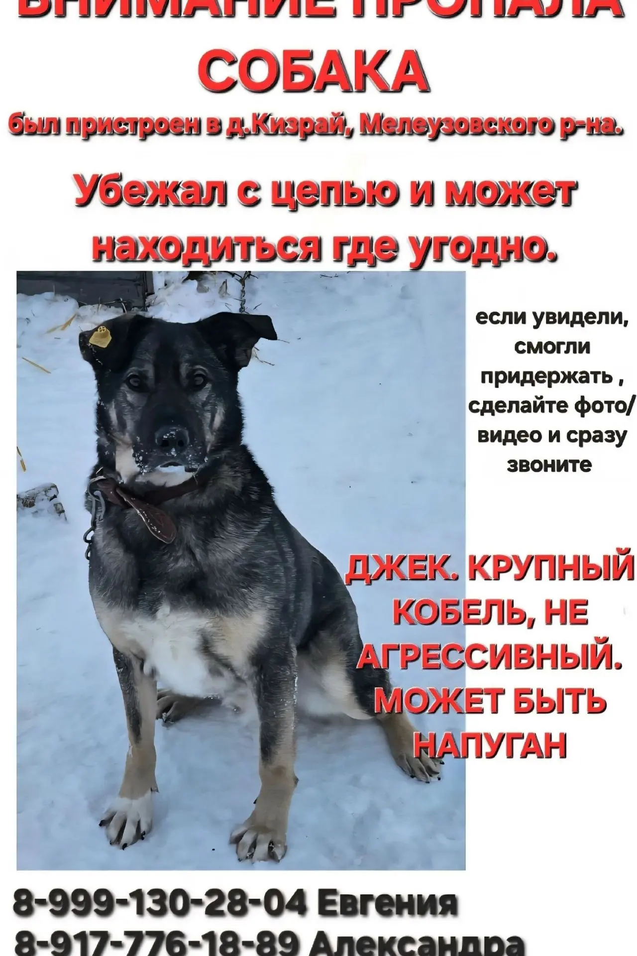 Д.Кизрай пожалуйста помогите нам🙏возможно он где то там,возможно зацепился за что то и не может с м