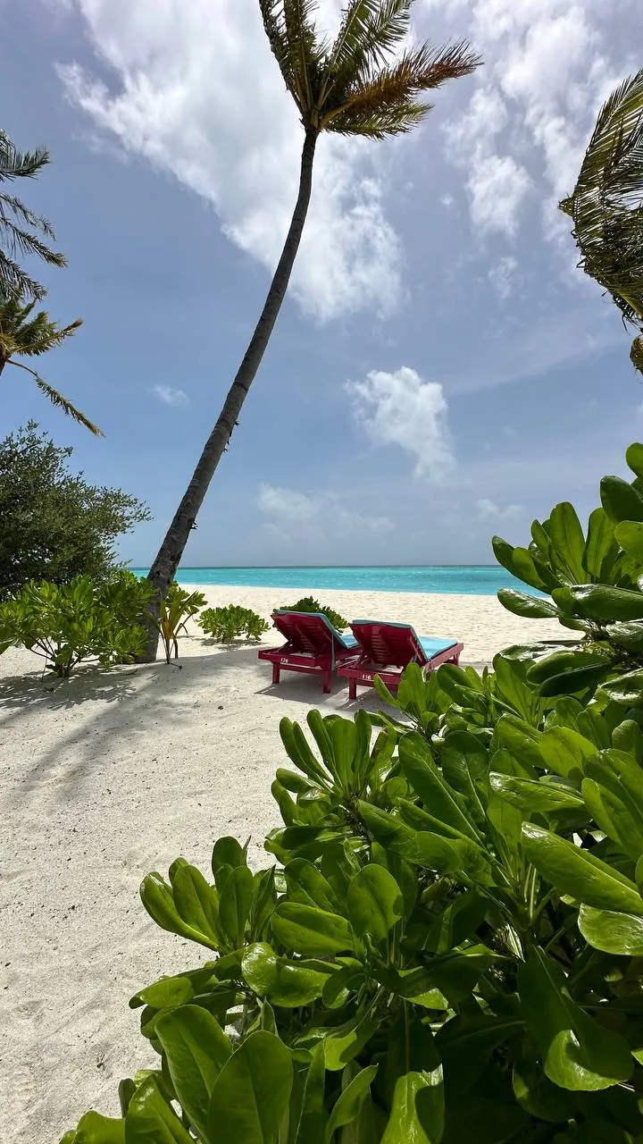 Один из самых популярных семейных резортов Мальдив - Villa Park Maldives 5★ запустил предложение 👇
