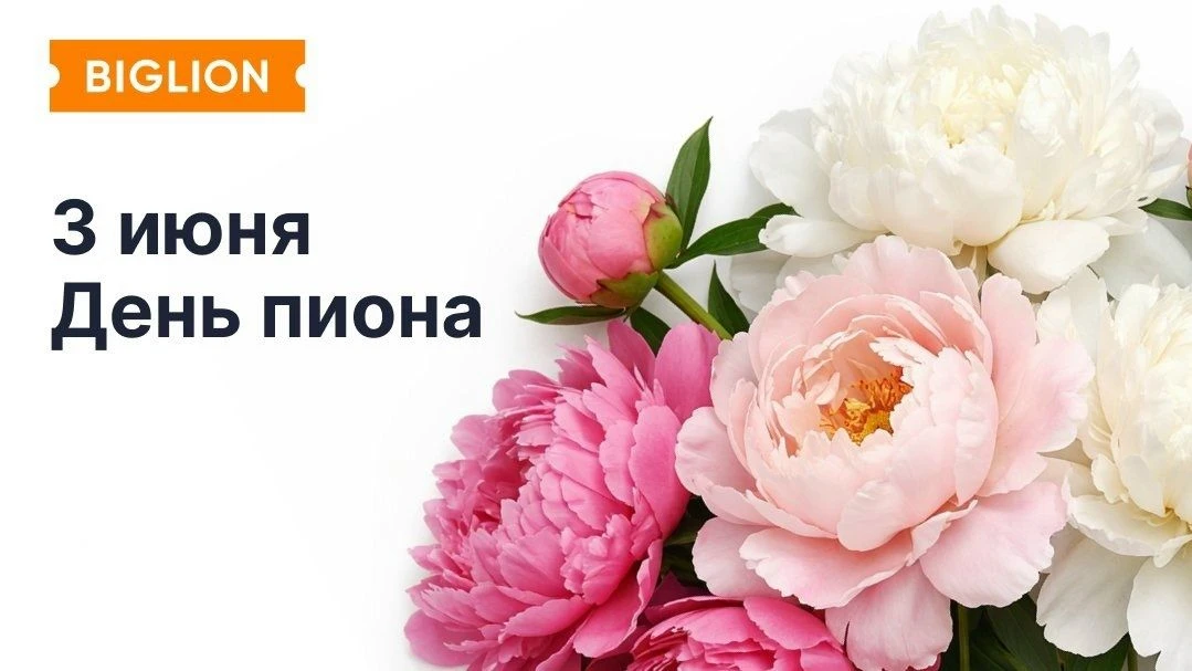Сегодня отмечают неофициальный День пиона🌸

В честь этого мы расскажем, как ухаживать за этими прек