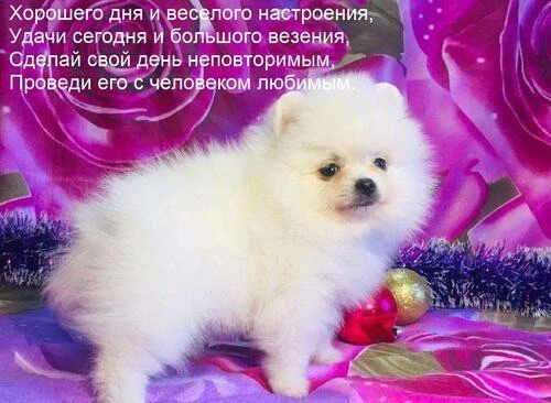 Список качественных каналов в МАХ | Подпишись!❤️