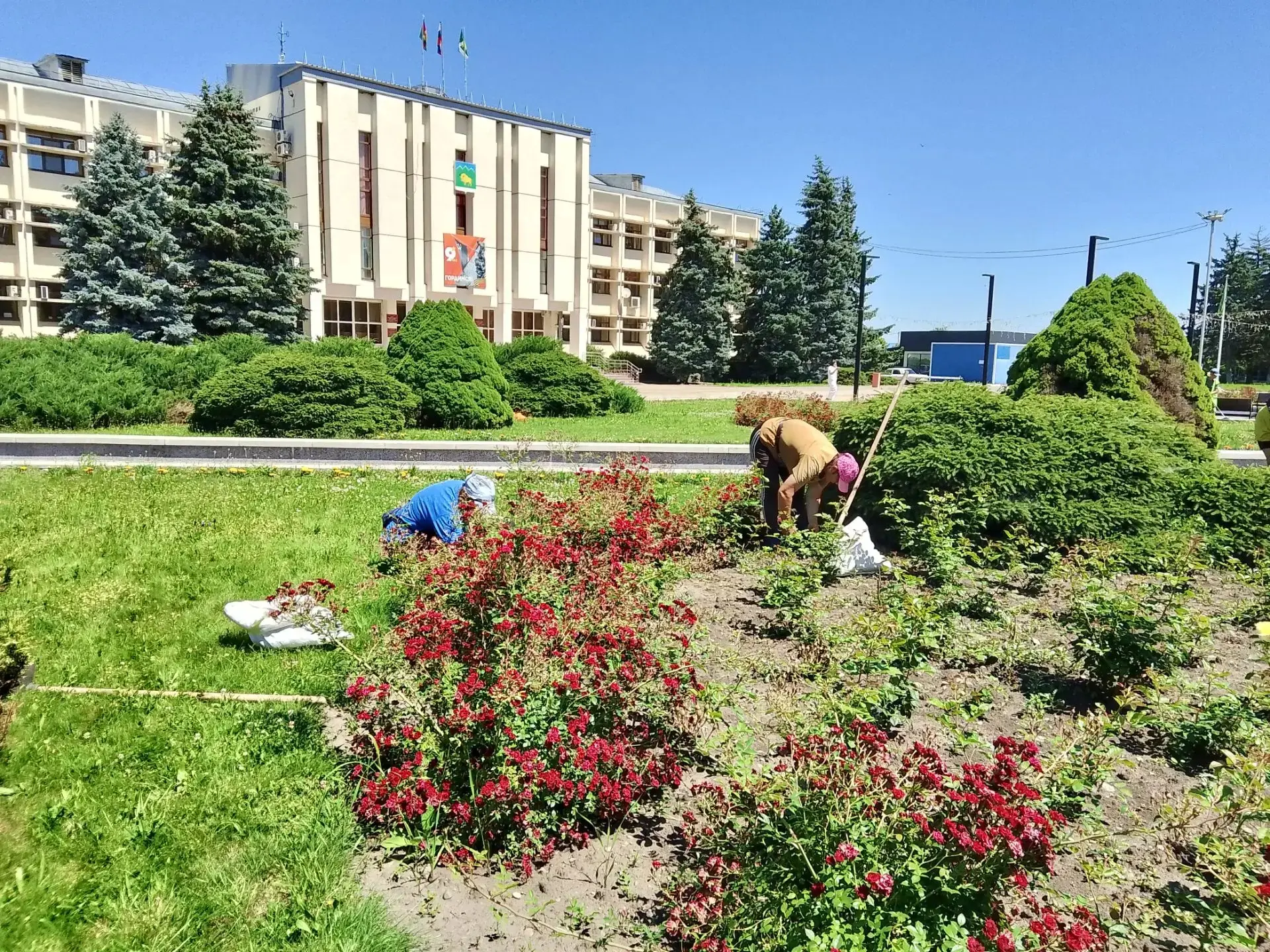 Прополка клумб