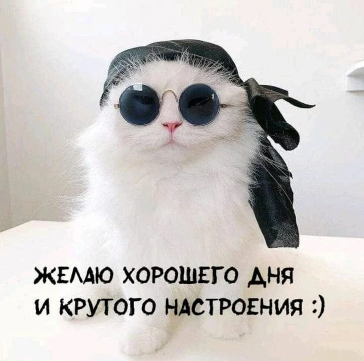 Подпишись 👇
Мои открытки  - МАХ • Открытки • Доброе утро • С днём рождения • Спокойной ночи