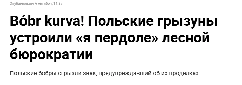 Погодите, сейчас и в этом русских обвинят