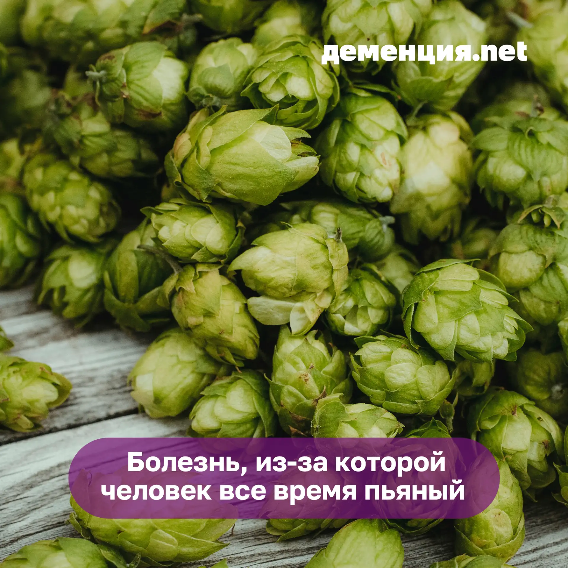 🍺 Многие мечтают, чтобы у них прямо дома был кран с пивом. Но этого можно добиться и б...