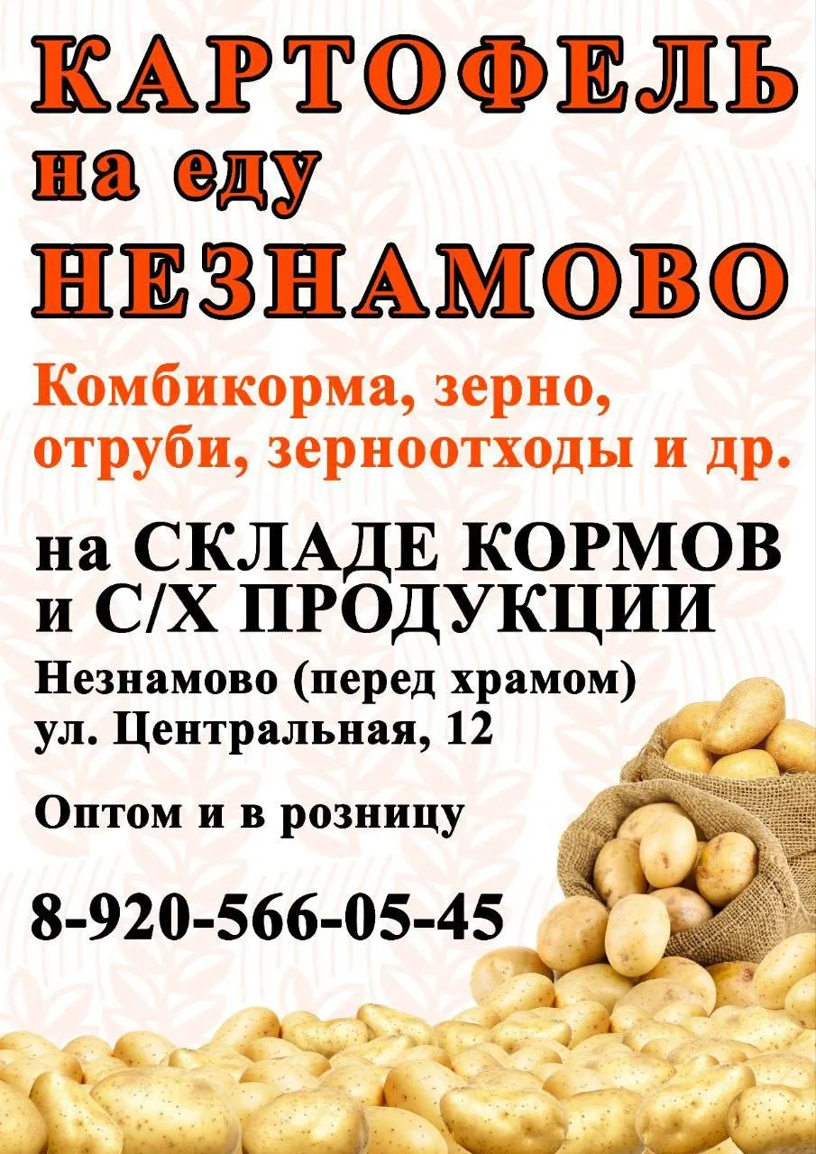 В Незнамово на складе кормов и сельхозпродукции начали продажу картофеля сорта Коломба....
