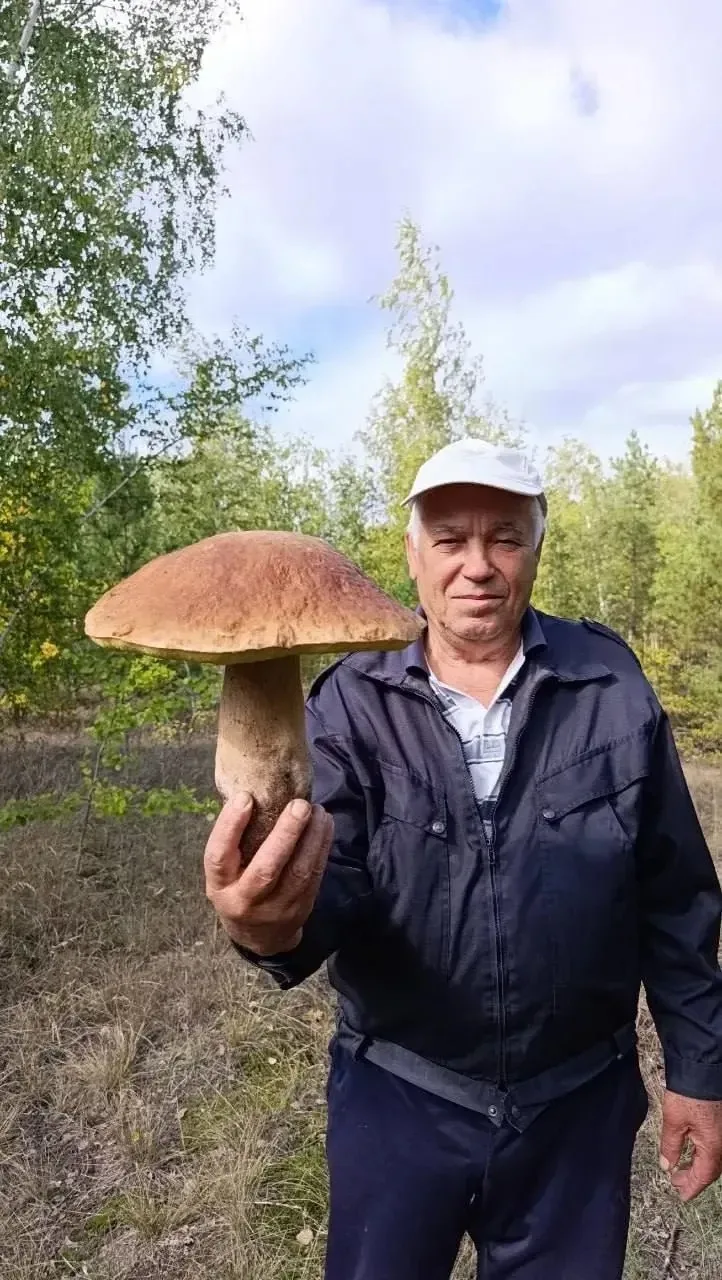 🍄‍🟫 Вот такого красавца-грибочка нашли под Старым Осколом